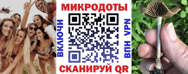 Псилоцибиновые грибы GOLDEN TEACHER  Ковров 