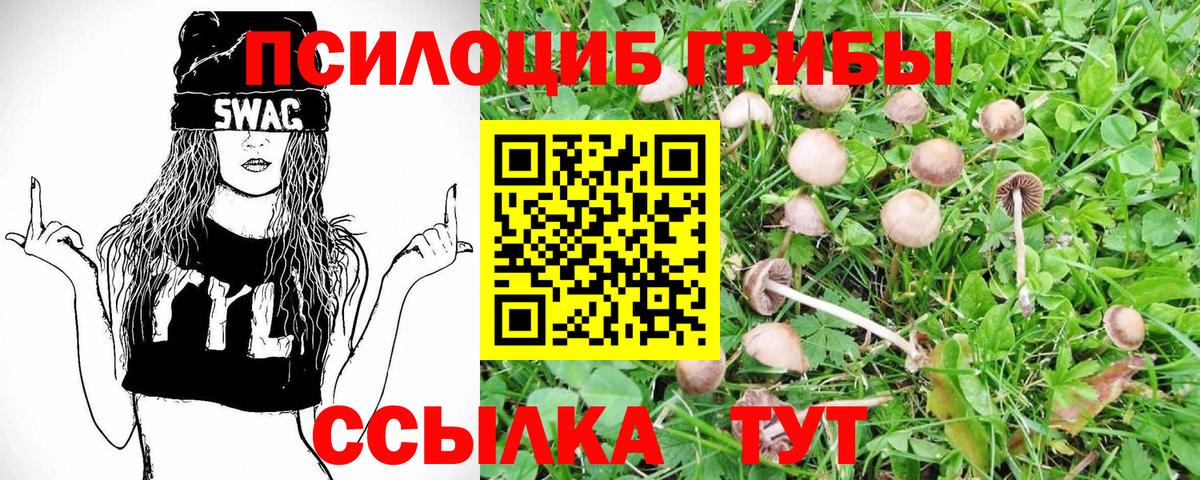 Ковров  Псилоцибиновые грибы Cubensis  Псилоцибиновые грибы ЛСД  Вход с VPN 